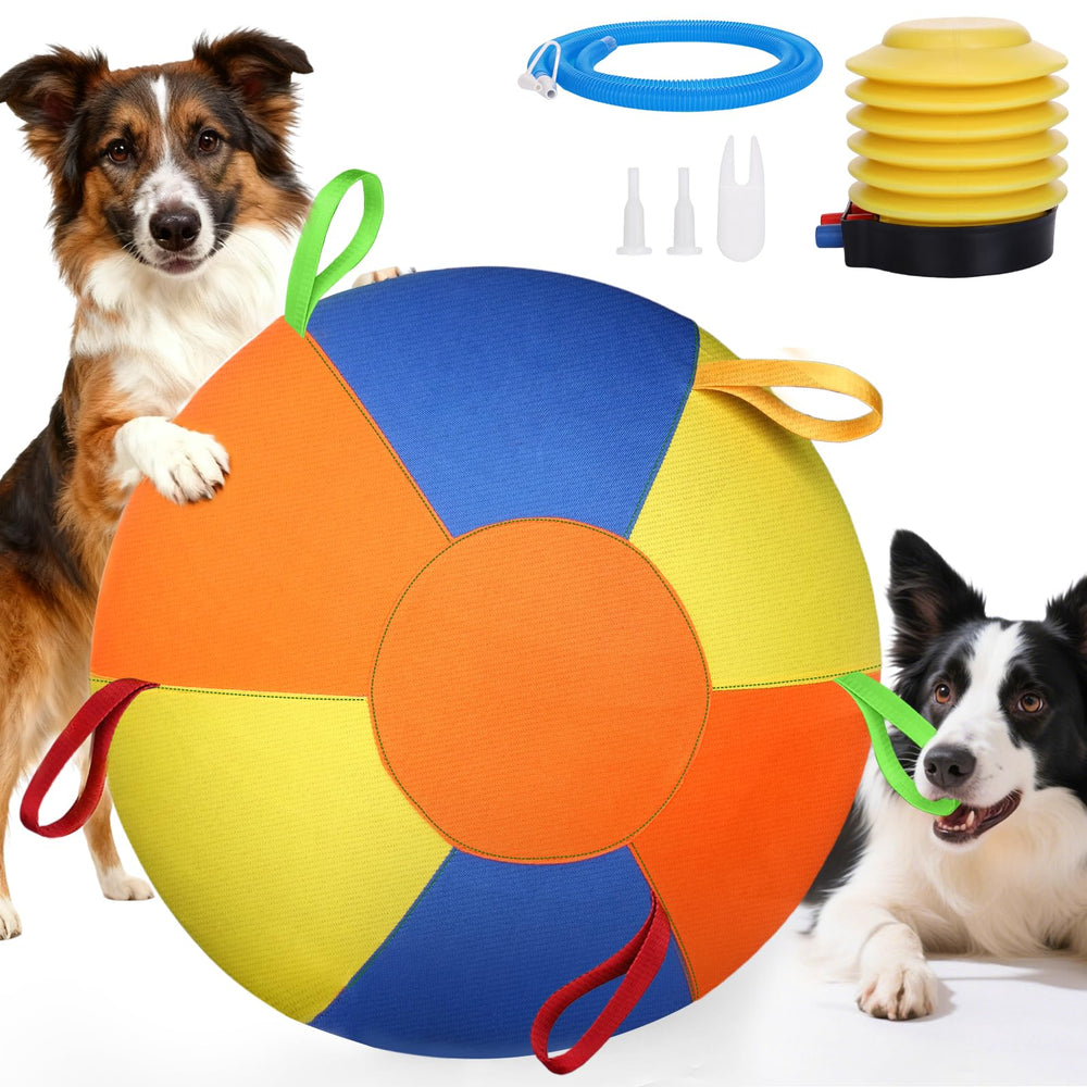 AIERSA Herding Ball for outdoor play scene with large dogs highlighting high-visibility colors