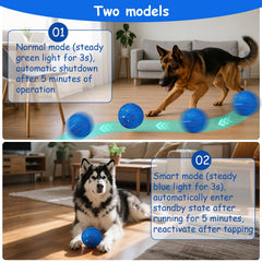 AIERSA Interactive Dog Ball bounce motion demonstrates unpredictable movement for mental stimulation