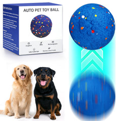 AIERSA Interactive Dog Ball in outdoor use enhances active play and enrichment