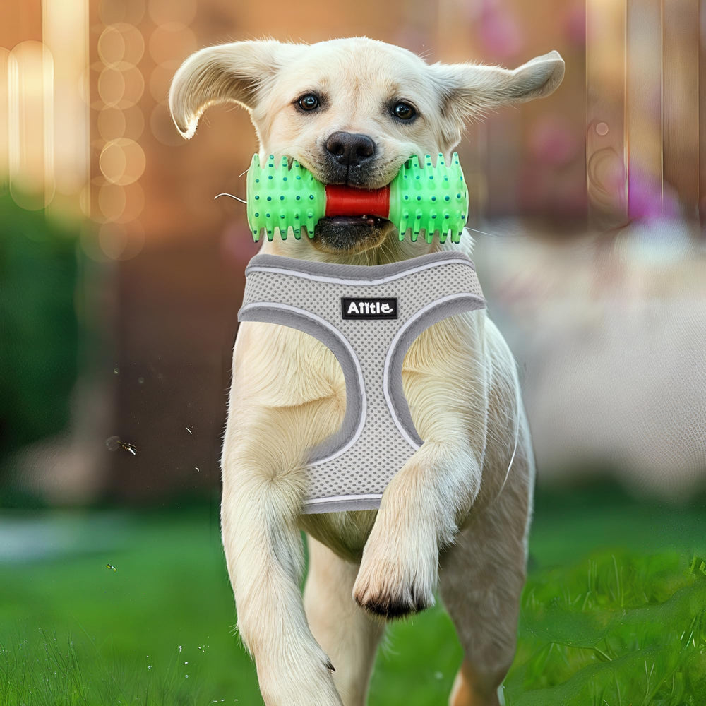 Aiitle breathable harness grey – front view demonstrates secure fit and escape-proof design.