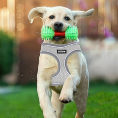 Aiitle breathable harness grey – front view demonstrates secure fit and escape-proof design.