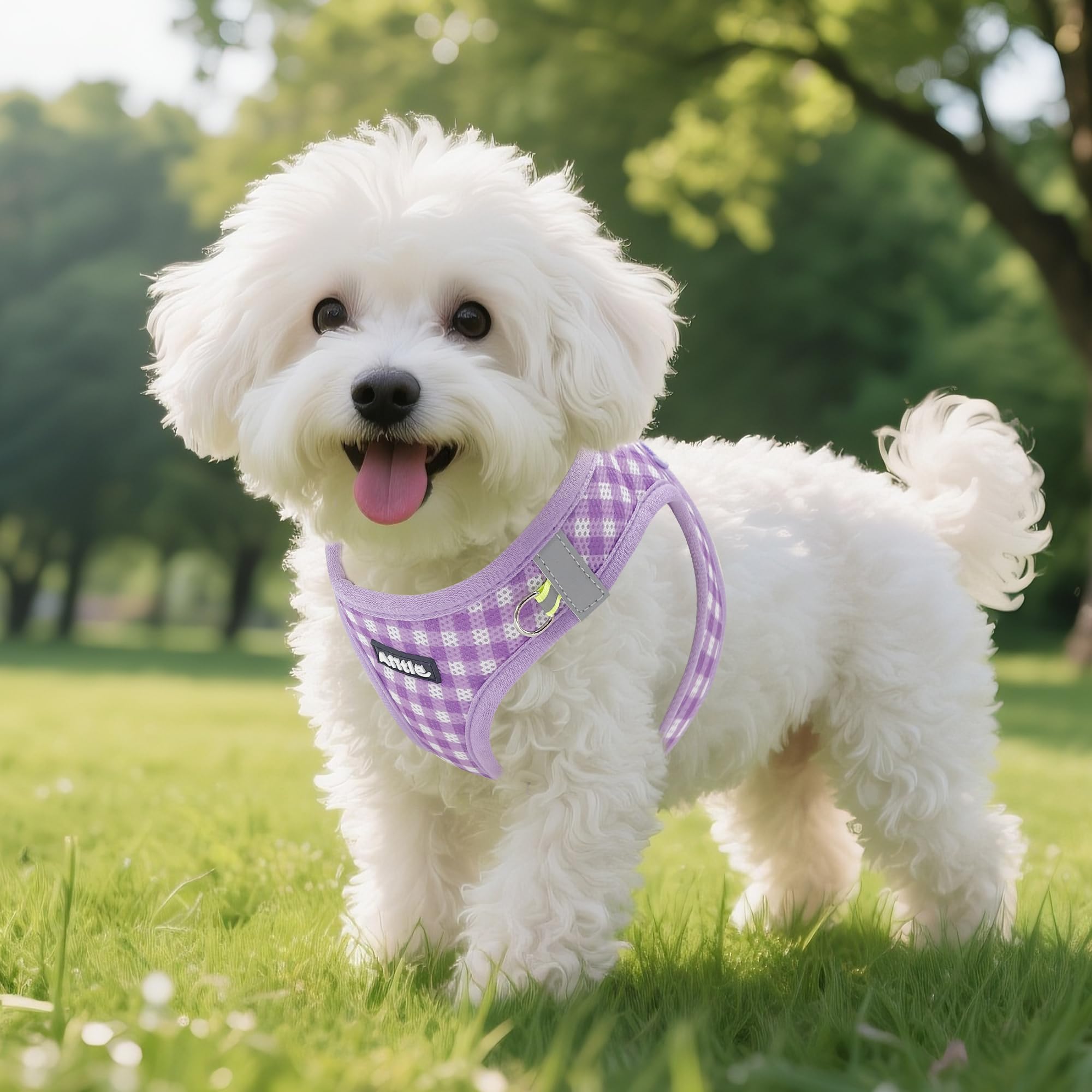 Aiitle harness lightweight-breathable-mesh keeps dogs comfortable in any season
