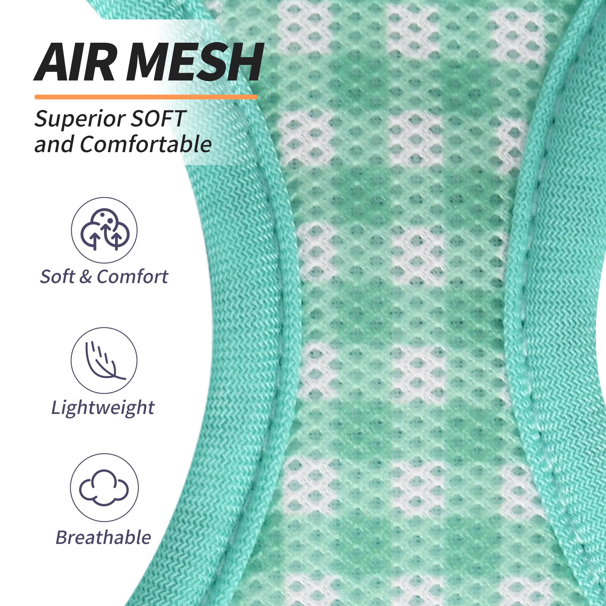 AIITLE leash paired with turquoise harness for easy everyday walks.