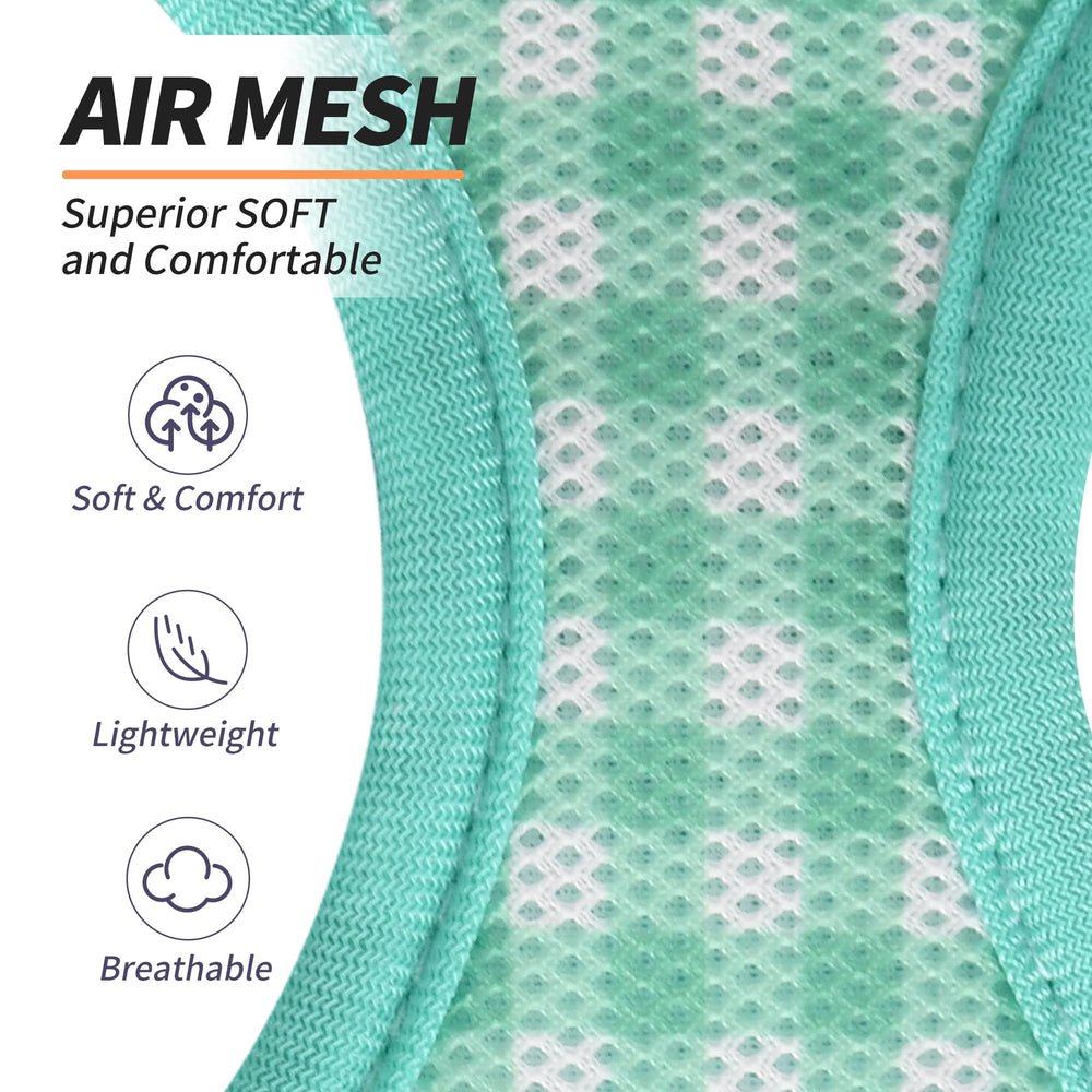 AIITLE leash paired with turquoise harness for easy everyday walks.