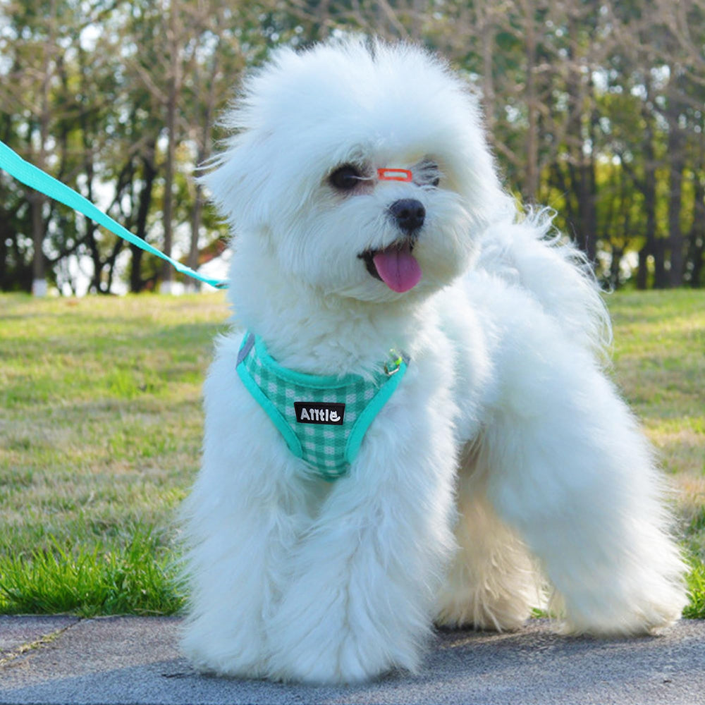 AIITLE reflective bands on harness visible at night for safer evening walks.