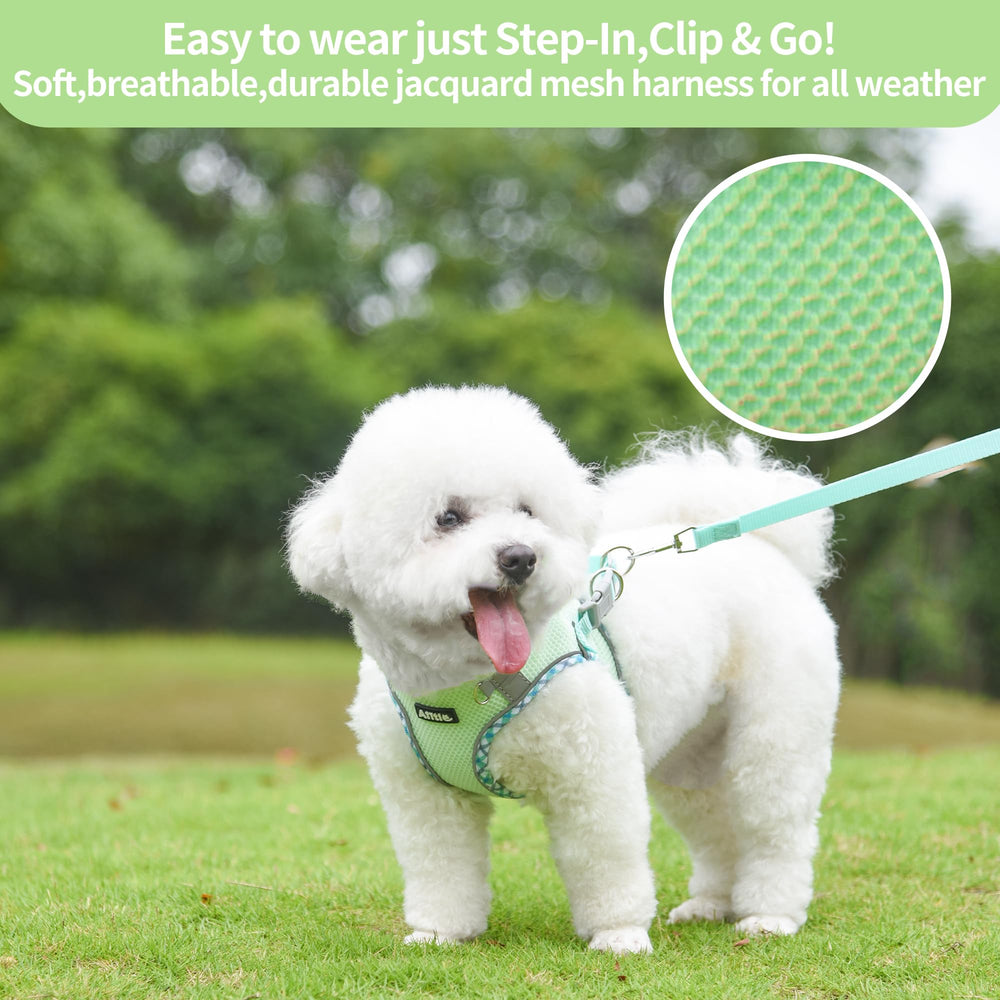 Aiitle Tiny Dog Harness worn by a puppy during outdoor walking