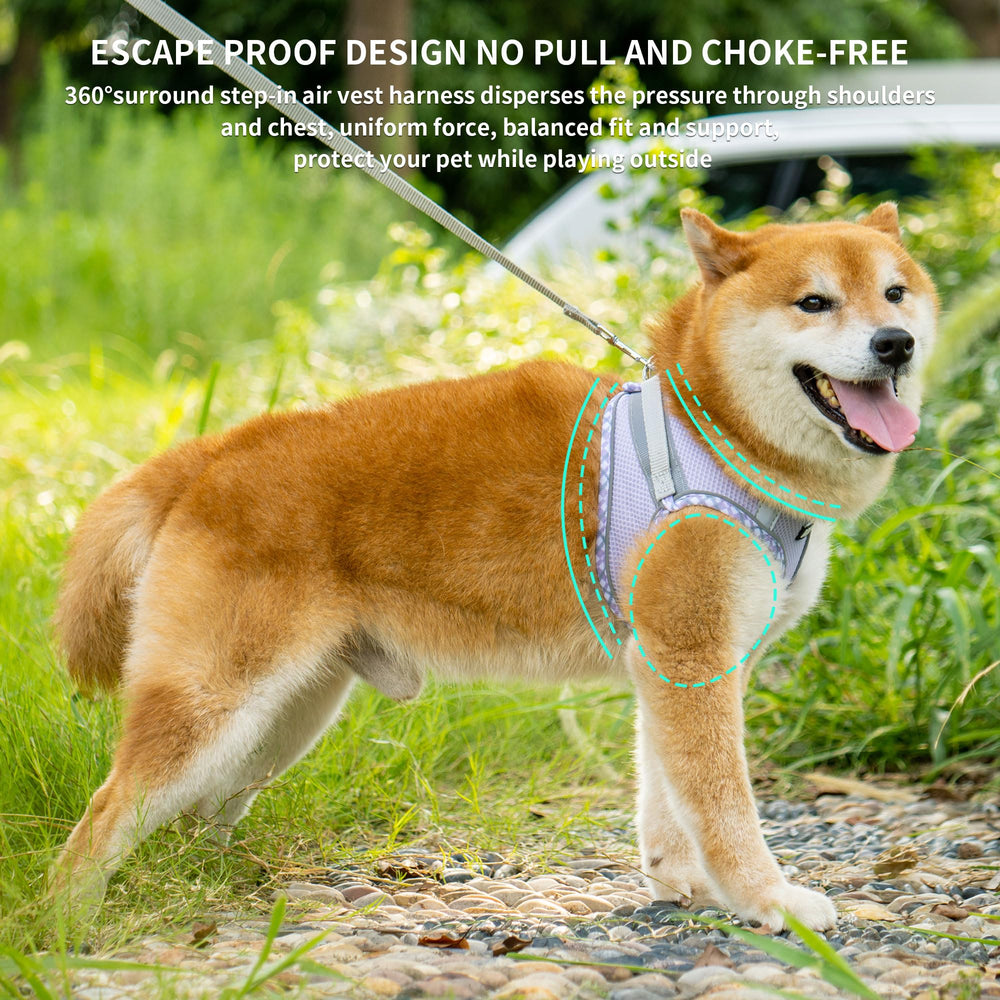 Aiitle Tiny Dog Harness XXXS leash-set enables confident outdoor strolls