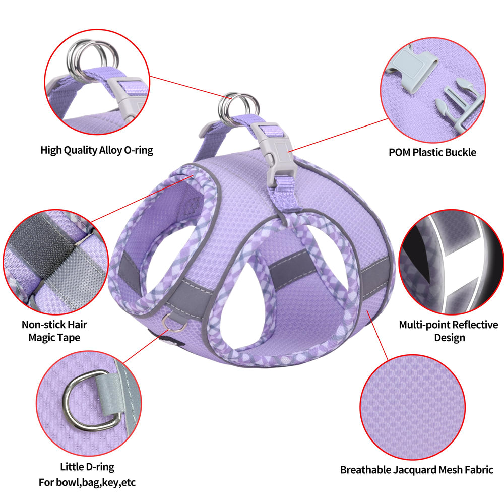 Aiitle Tiny Dog Harness XXXS side adjustment demonstrates easy fit for growing puppies
