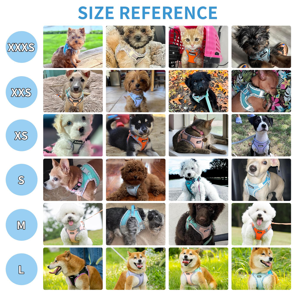 AIITLE Tiny Dog Harness soft mesh fabric emphasizes comfortable wear for small dogs