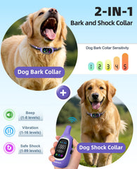 AIKEEP 2-in-1 collar on dog neck demonstrates daily control and comfort.