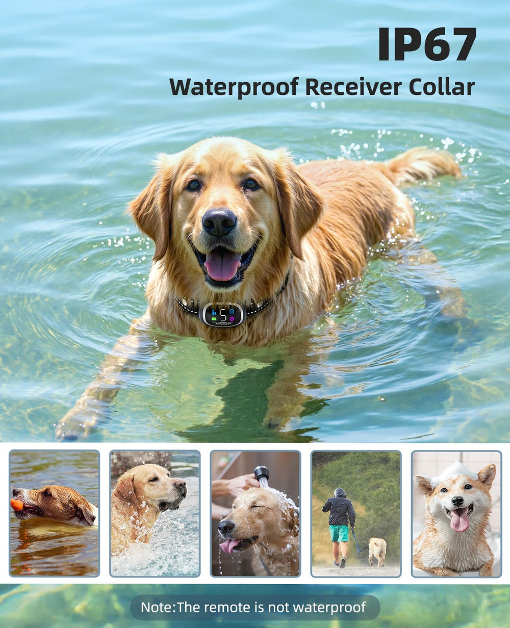 AIKEEP adjustable nylon collar demonstrates secure fit for various dog sizes