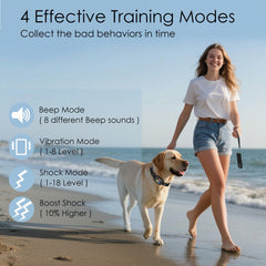 Aikko shock collar adjustable nylon collar shown on a dog for comfortable fit