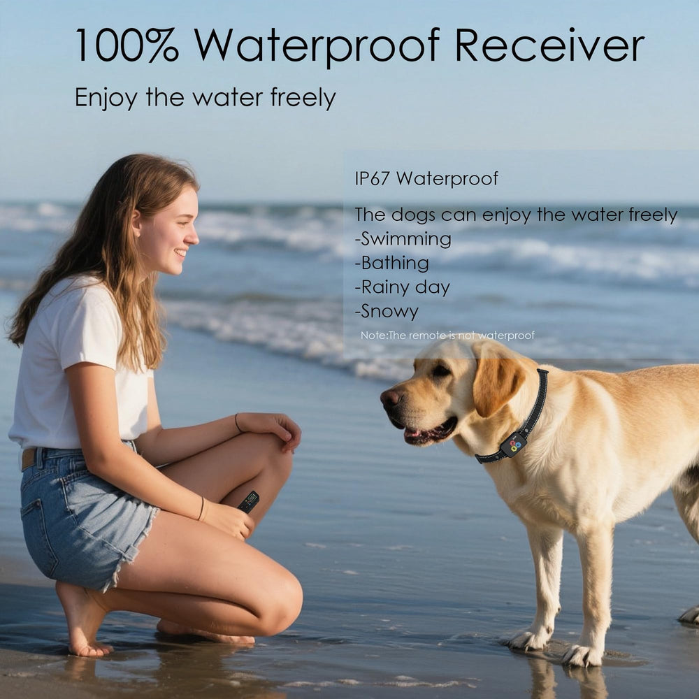 Aikko dual-dog training setup with one remote for two dogs