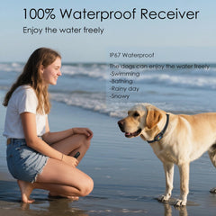 Aikko dual-dog training setup with one remote for two dogs