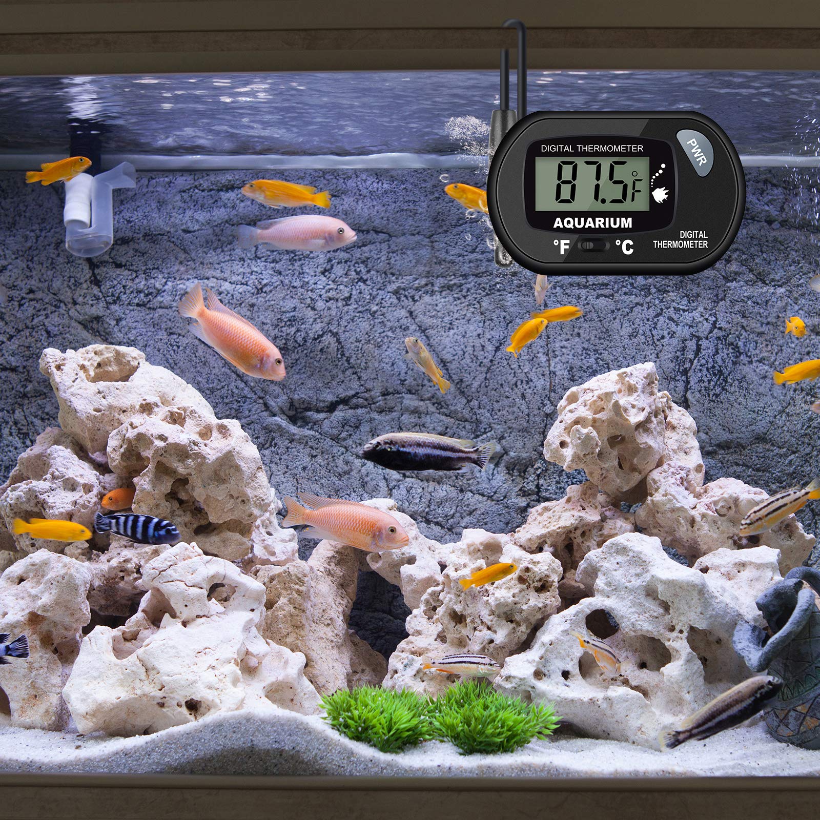 AikTryee thermometer probe detail features stainless steel sensor for accurate water temperature.