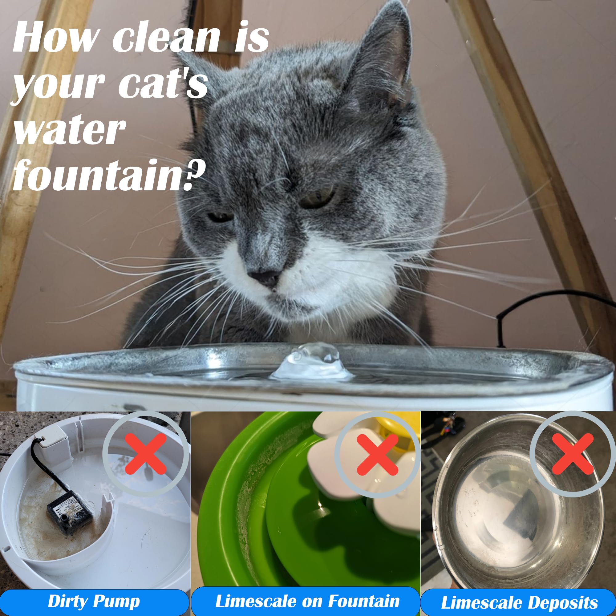 AIMAOGOU cat-paw shaped sponge for quick, distinctive cleaning touch.
