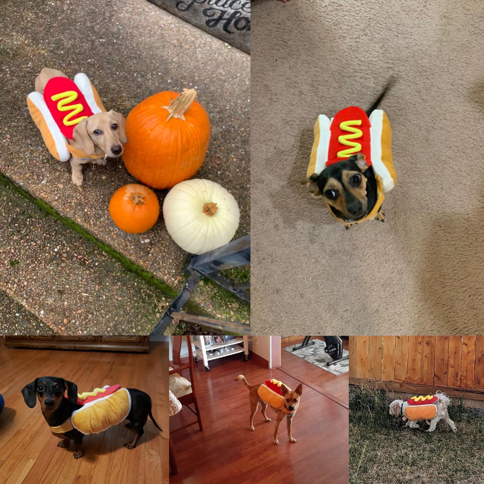 AIMICOCA hot dog costume showing Velcro closure for easy fit.