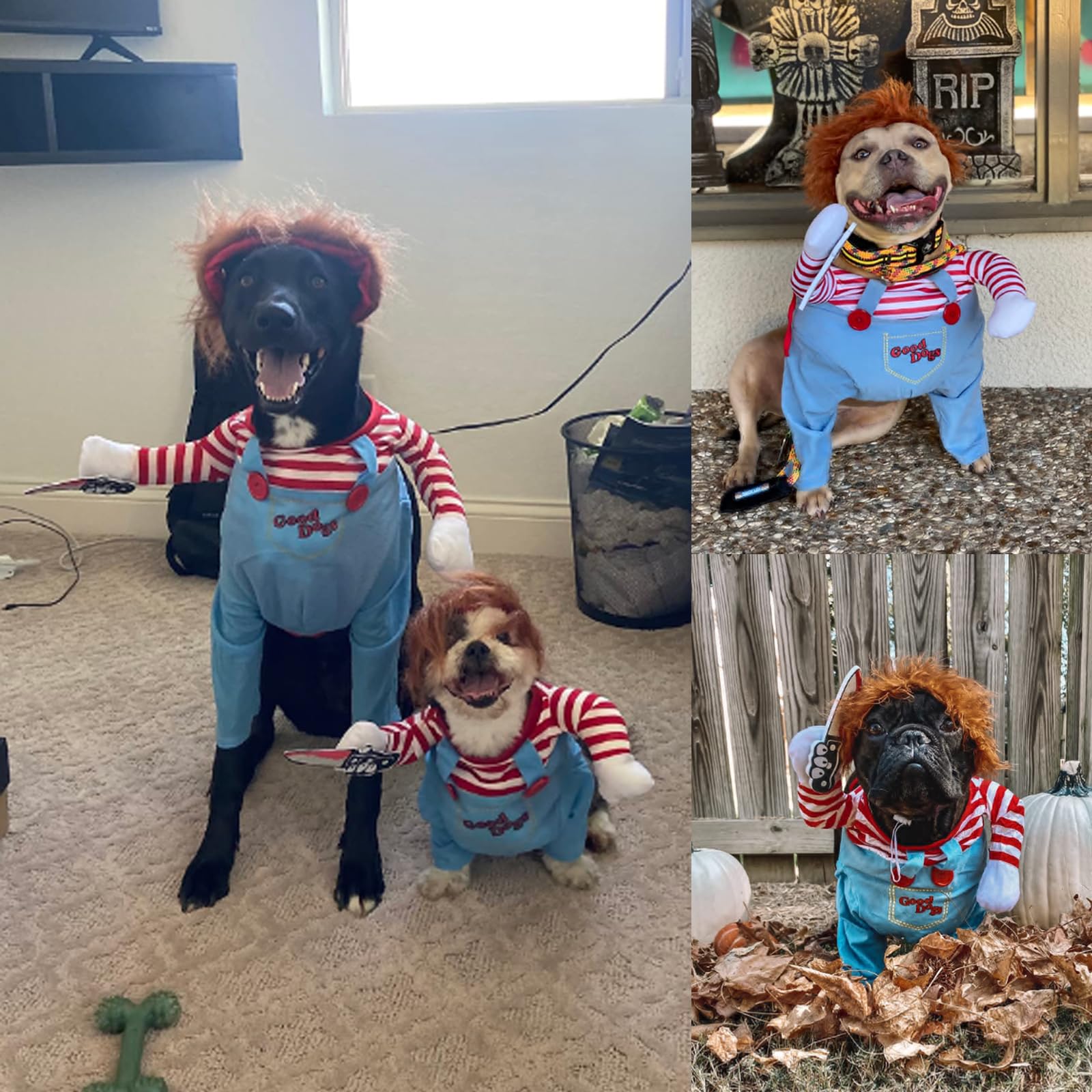 AIMICOCA pet costume size chart photo helps choose perfect fit.