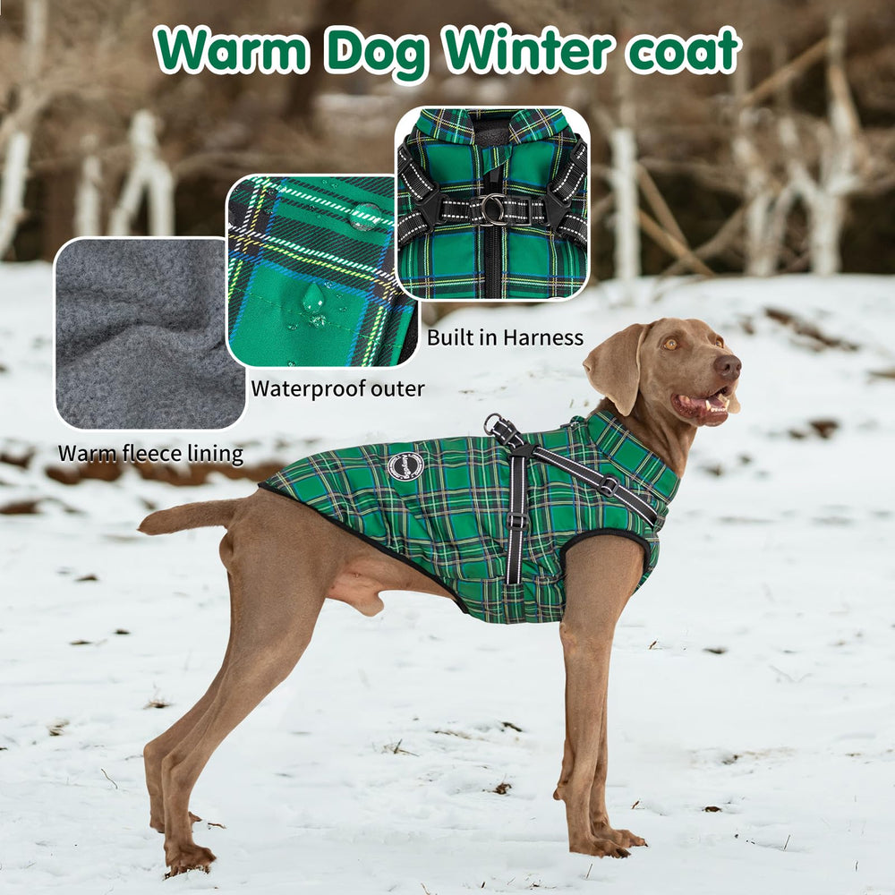 Aimydog cross-over harness design reduces strain during walks.