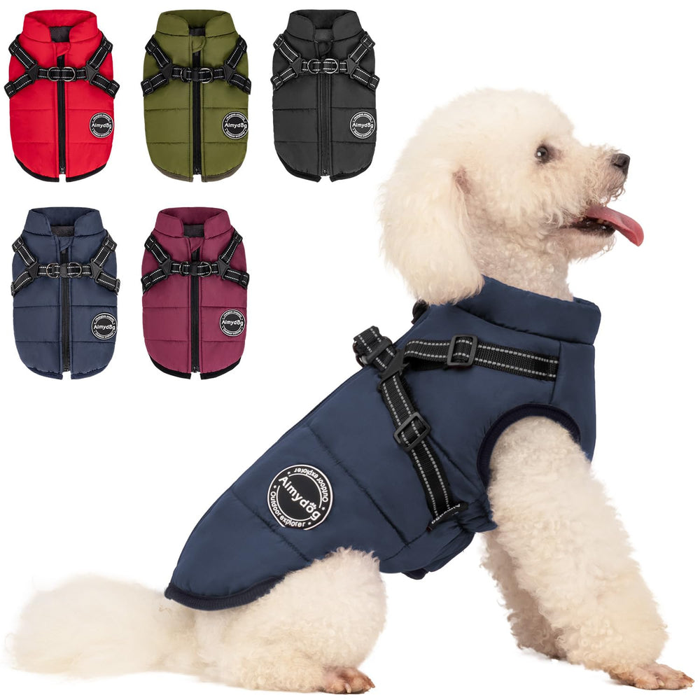 Aimydog warm dog winter coat worn by a small dog for cozy protection on chilly walks.