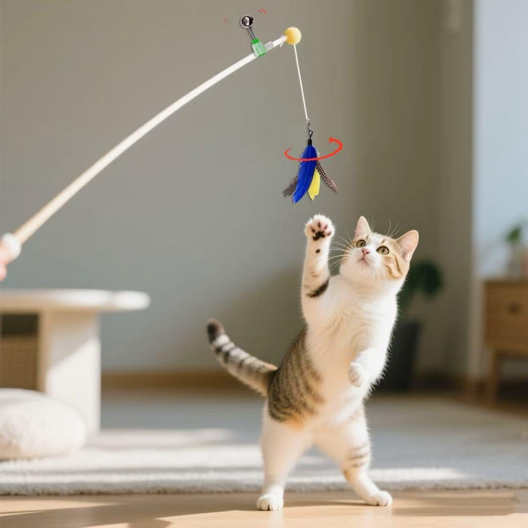 AINTE colorful feathers offer variety to keep cats curious during sessions.