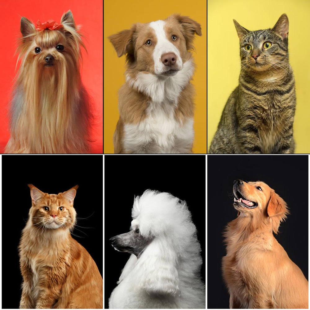 Aiolpy 9-piece kit suitable for all breeds and sizes