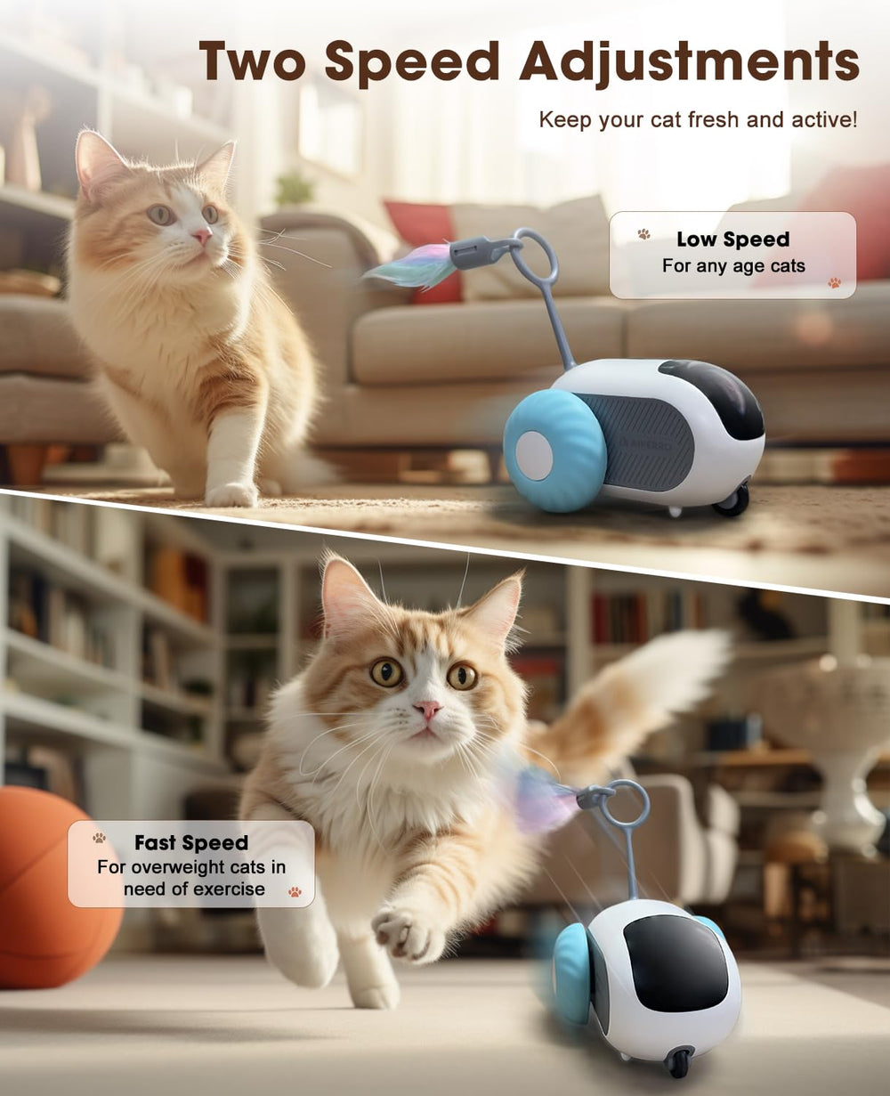 AIPERRO cat toy dual-speed offers fast or slow sessions