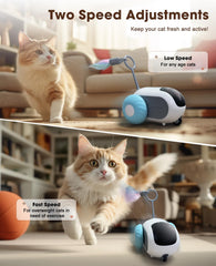 AIPERRO cat toy dual-speed offers fast or slow sessions