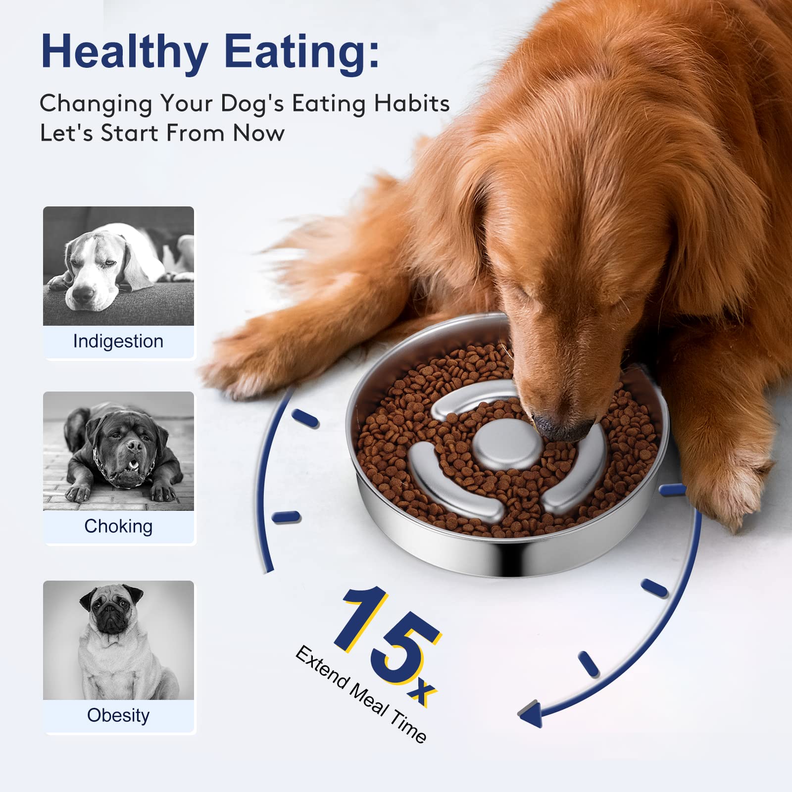 AIPERRO dishwasher-safe dog bowl for quick, convenient cleaning.