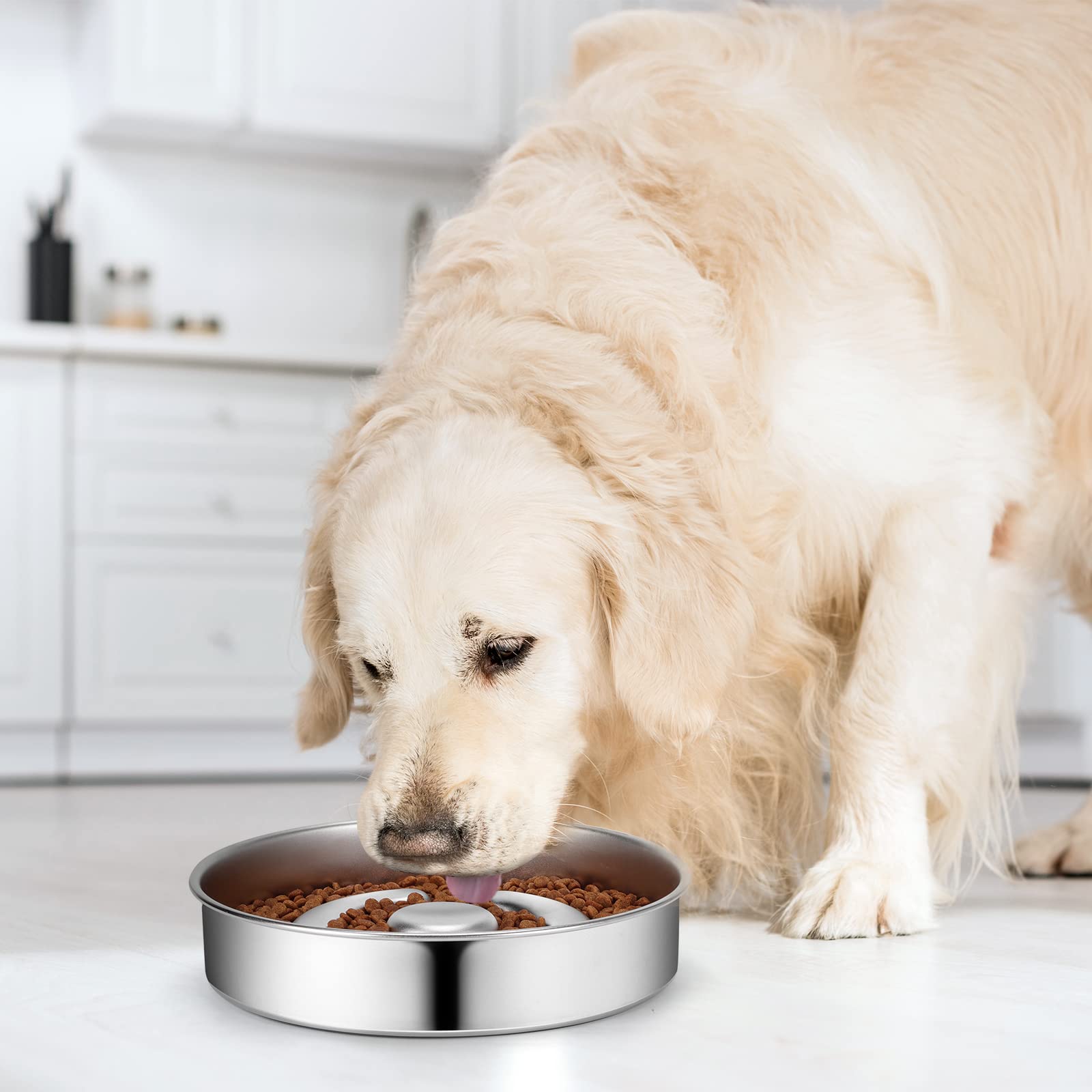 AIPERRO suitable for medium and large dogs during meals.