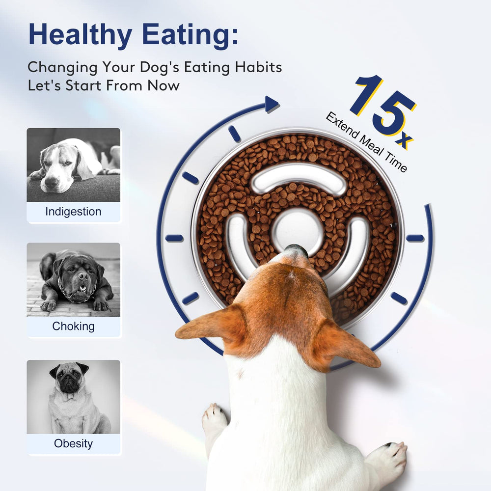 AIPERRO Slow Feeder Dog Bowl two-sizes option supports different meal portions.