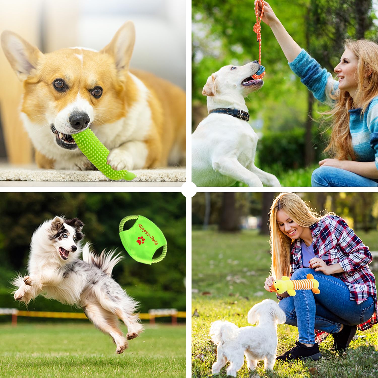 Aipper poop bag dispenser with rolls for walks.
