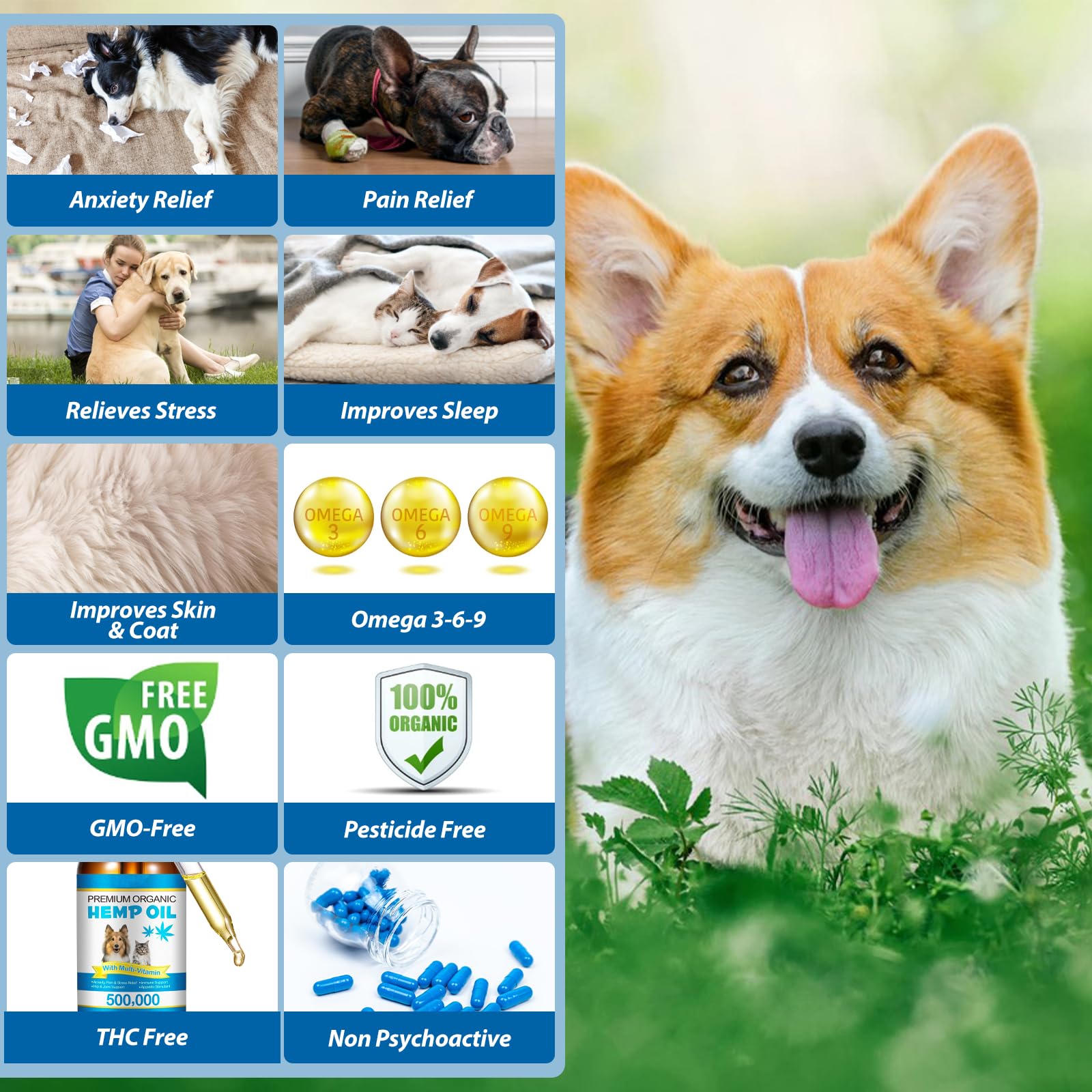 AIQIUSHA dogs enjoying activity after oil for potential joint comfort