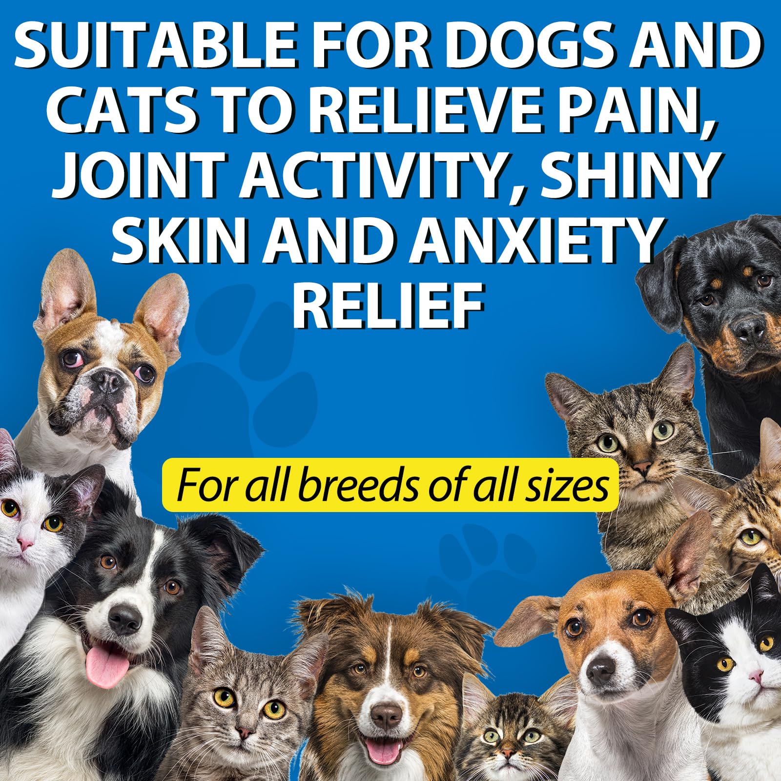AIQIUSHA pet oil in treat bowl demonstrates easy daily calming use for dogs
