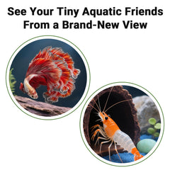 Aiqriwv dual-hole hideout entrances sized for 2–6 cm fish.