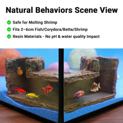 Aiqriwv corner-tunnel view lets you observe fish behavior up close.
