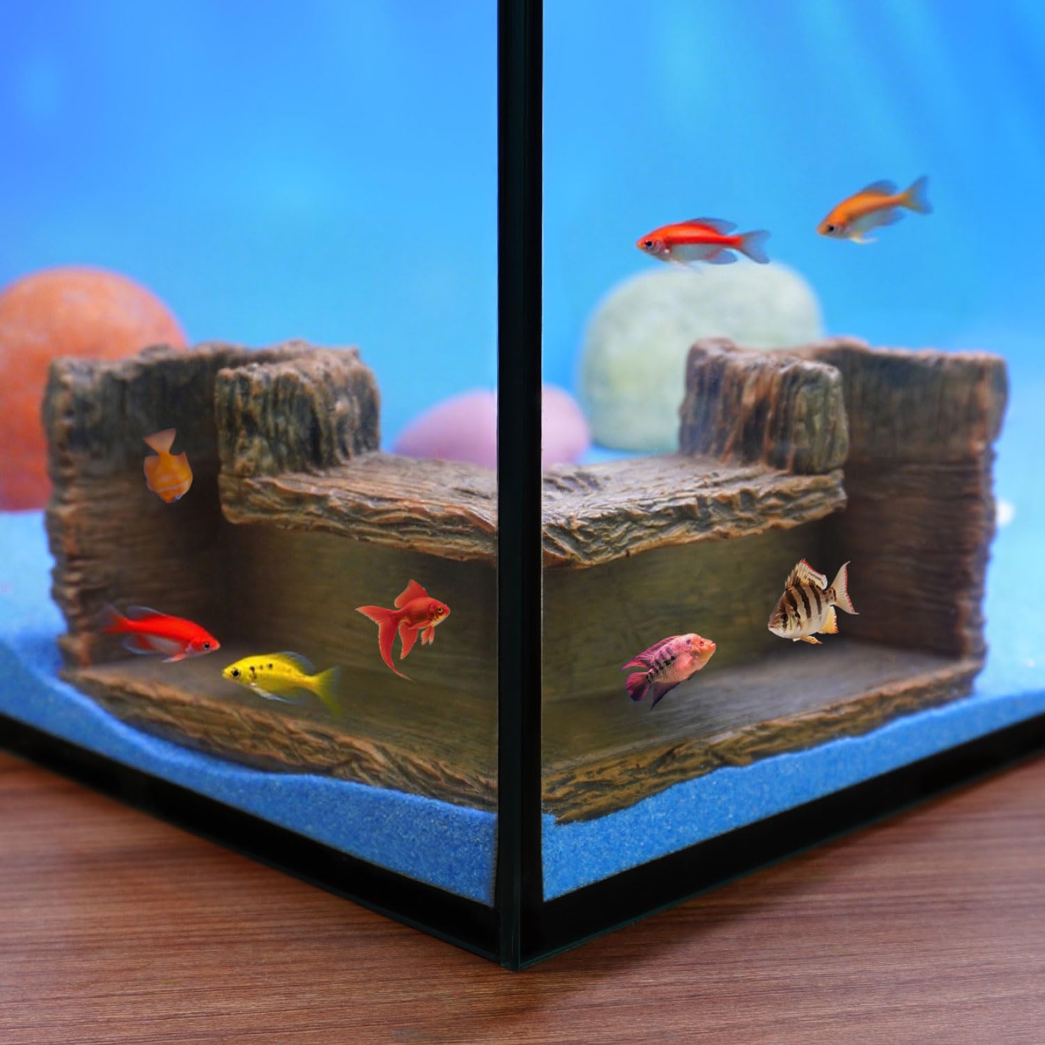 Aiqriwv underground resin stump front view showing secure shrimp retreat.