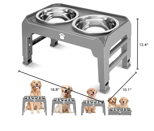 AIRMX ergonomic mealtime setup promotes comfortable dining for dogs.
