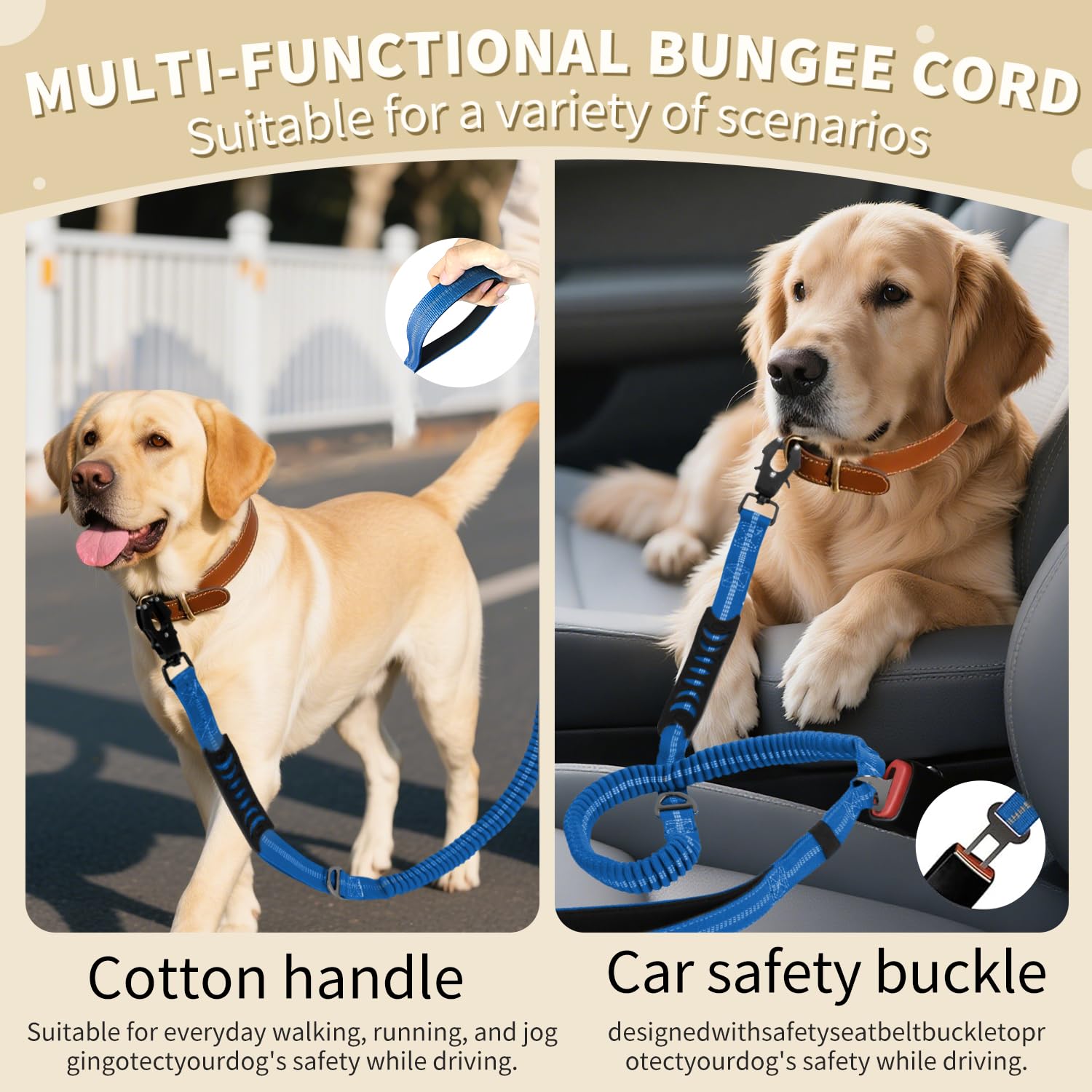 Airuidog leash with D-ring near handle to hang accessories