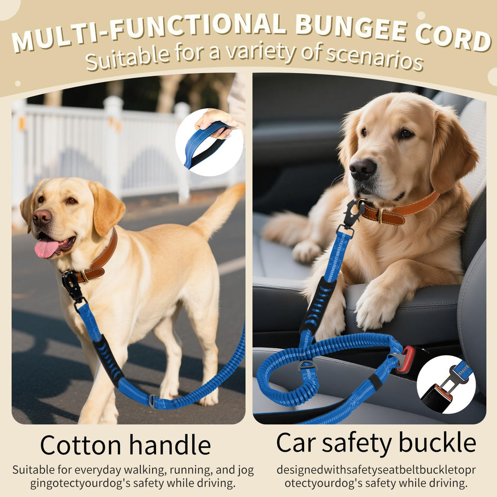 Airuidog leash with D-ring near handle to hang accessories