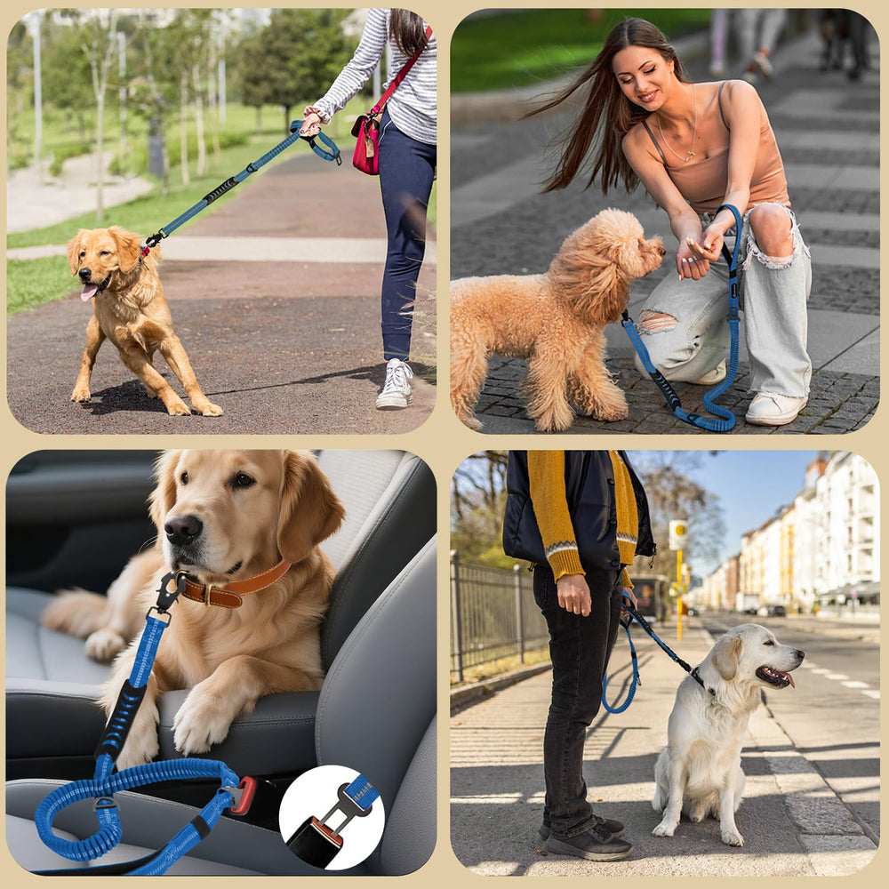 Airuidog durable nylon craft leash built to last