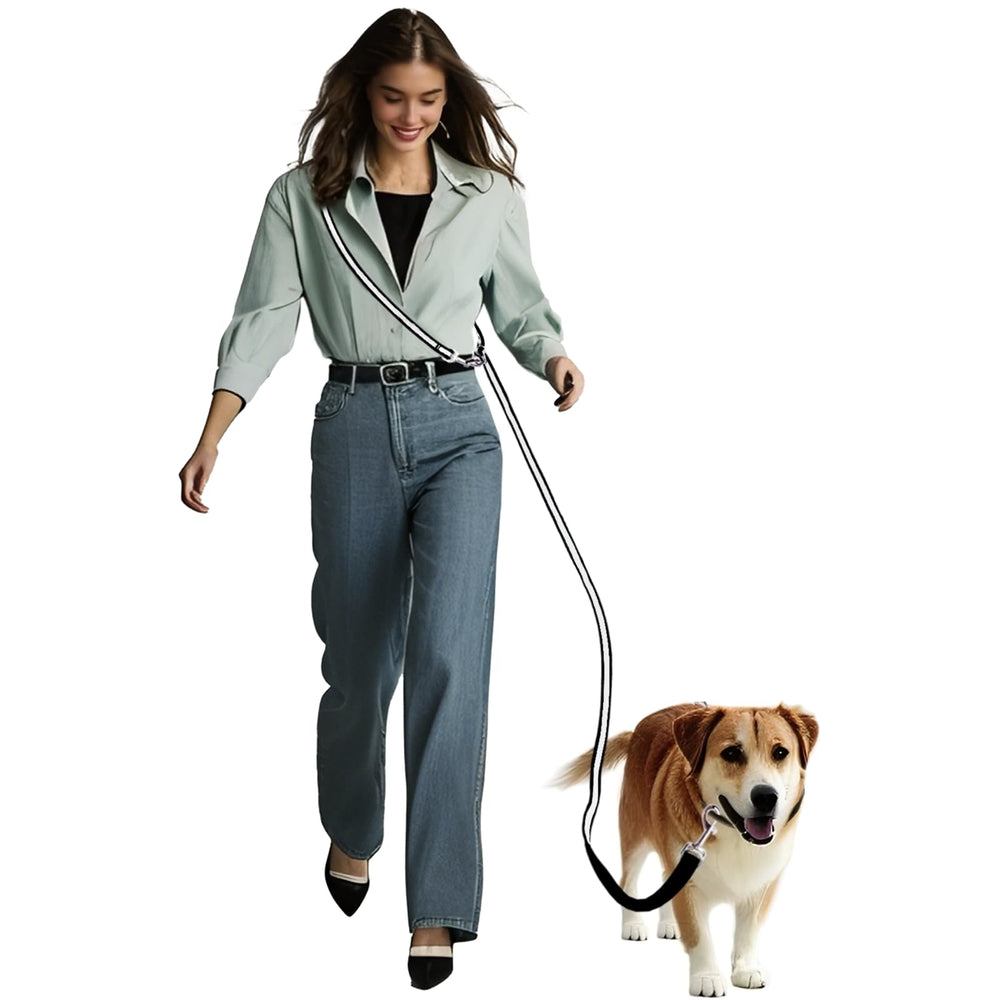 AirUiDog hands-free leash used for urban walks with hands-free convenience