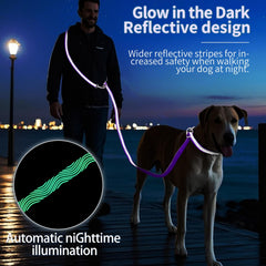 Airuidog hands-free leash reflective stitching boosts nighttime visibility during walks