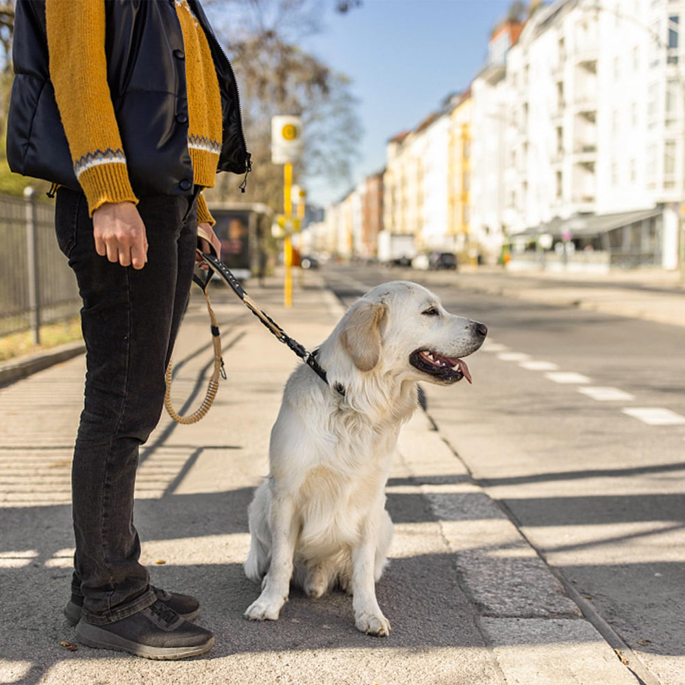 Airuidog heavy duty tactical dog leash walk-run-use demonstrates versatile everyday performance