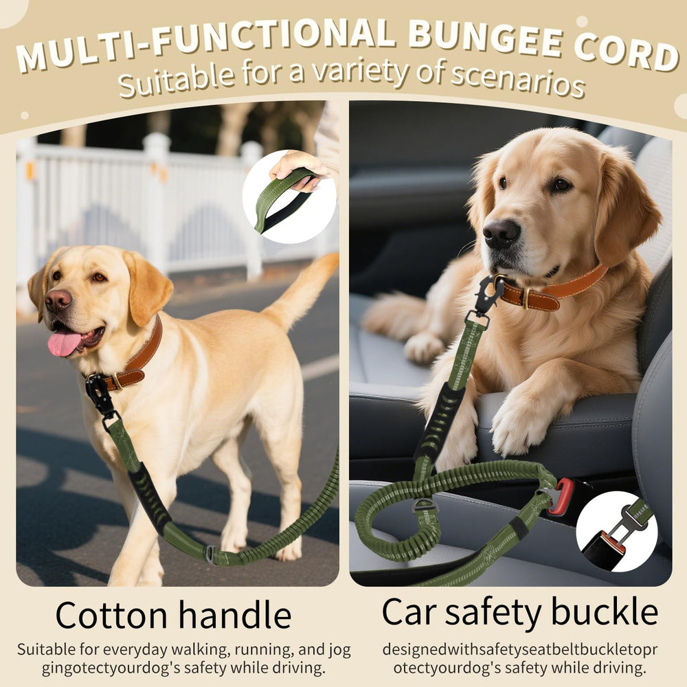 AIRUIDOG leash with seatbelt buckle designed for car safety during travel