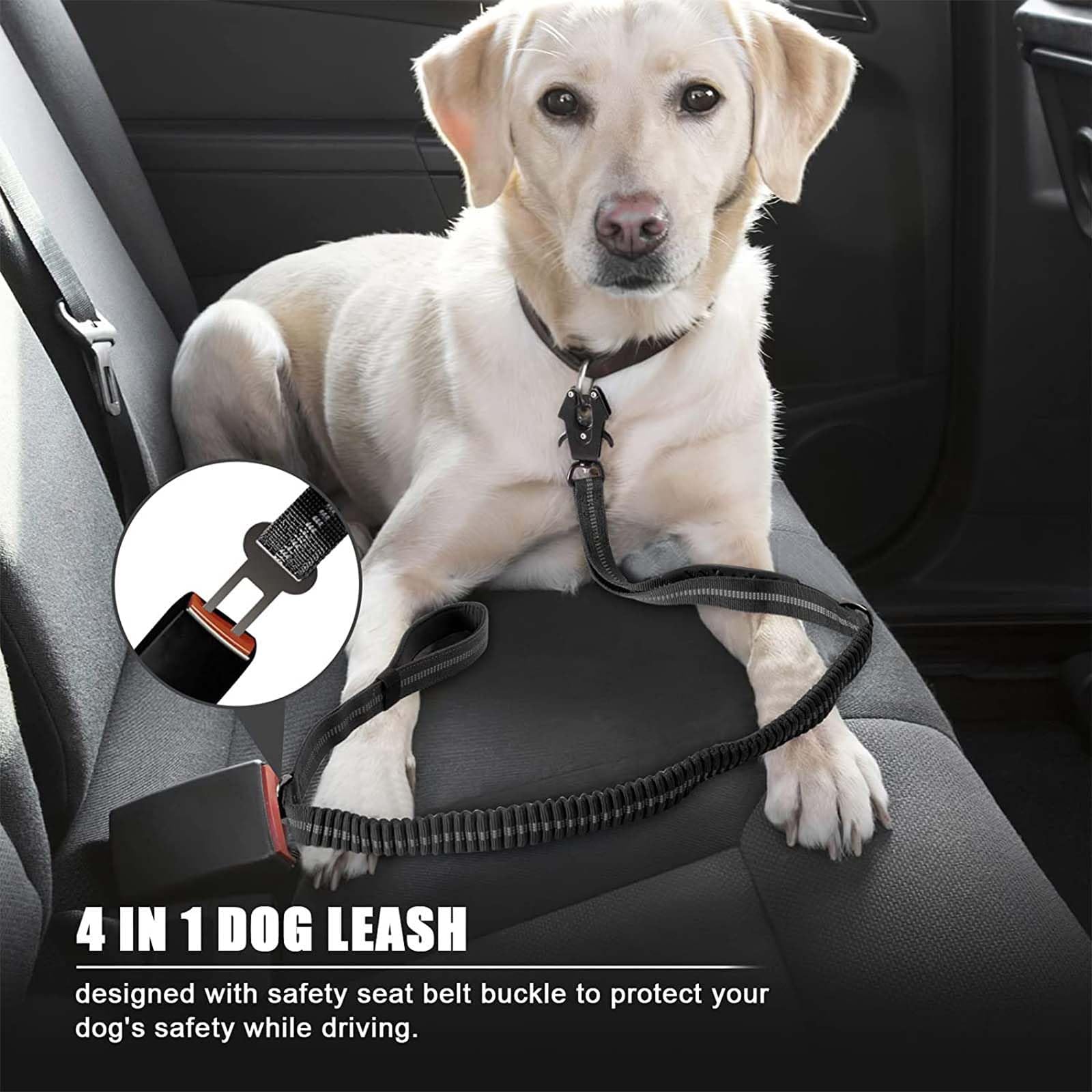 Airuidog metal carabiner leash ensures secure attachment
