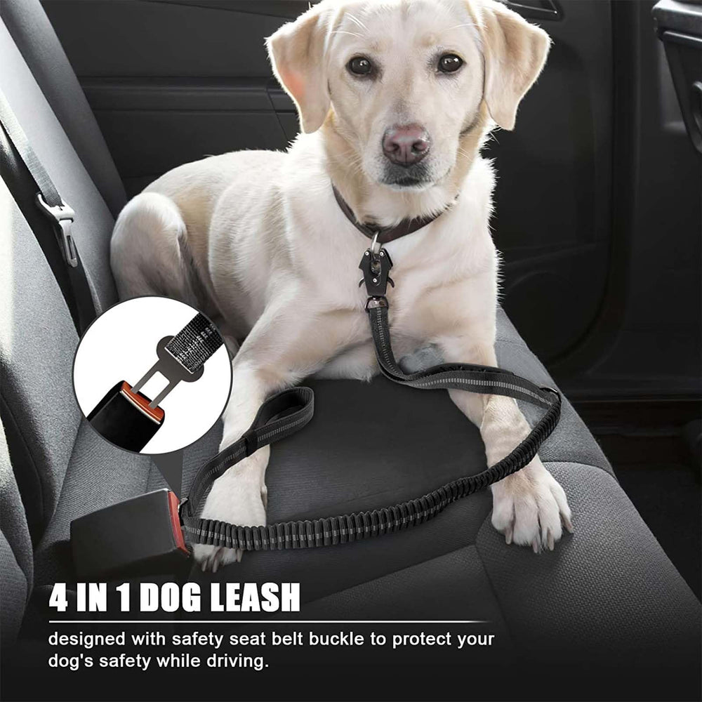 Airuidog metal carabiner leash ensures secure attachment