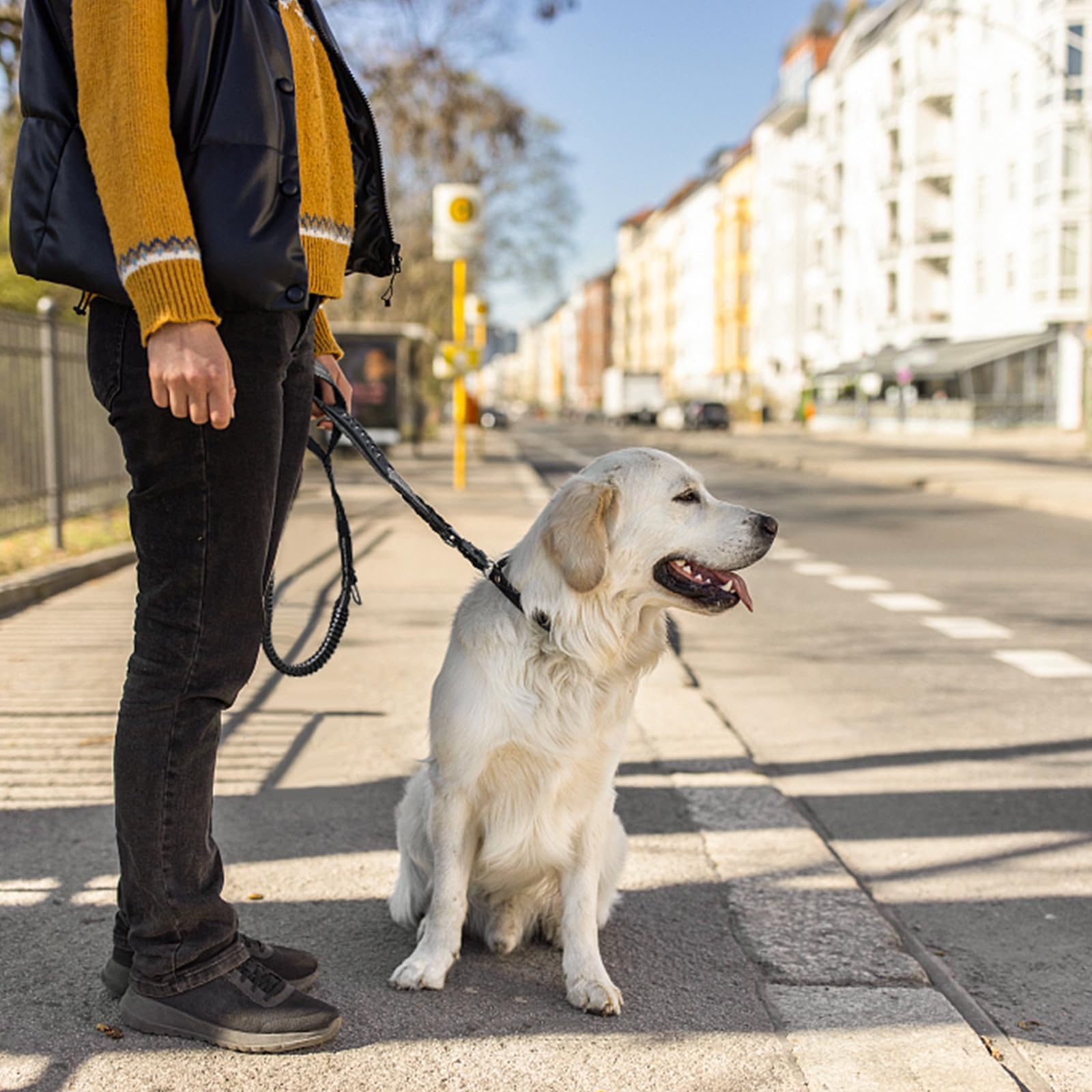 Airuidog nylon leash with reinforced stitches for durability