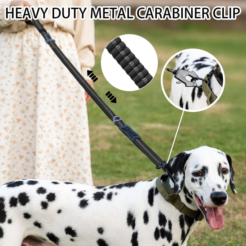 Airuidog seatbelt buckle leash keeps dog secure in car trips