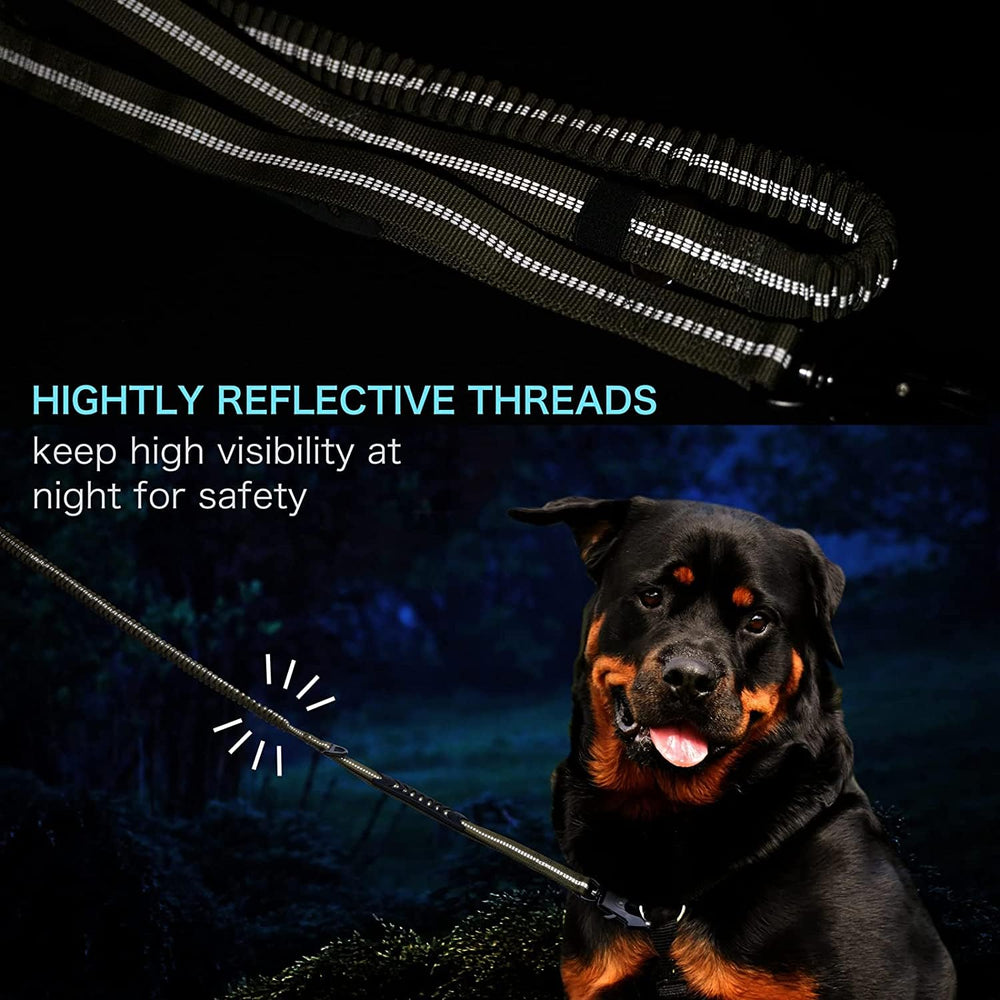 Airuidog two-handle leash offers versatile control in crowded areas